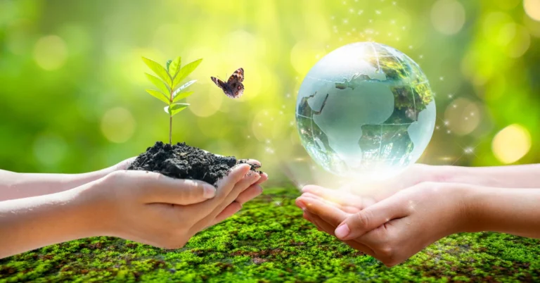 5 Países y sus programas de reciclaje en el mundo