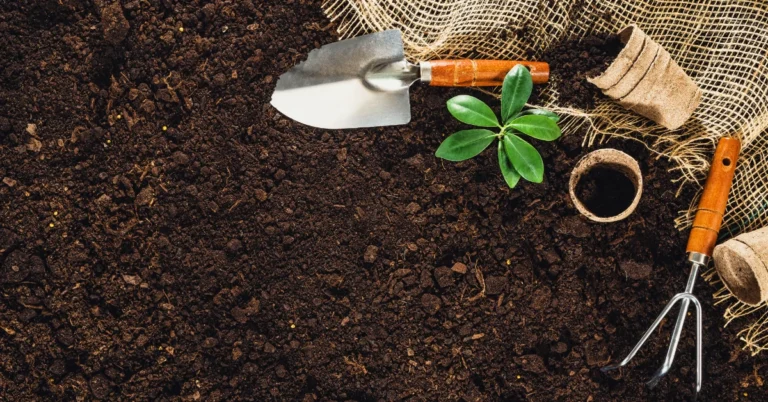 4 Formas para reciclar en tu jardín