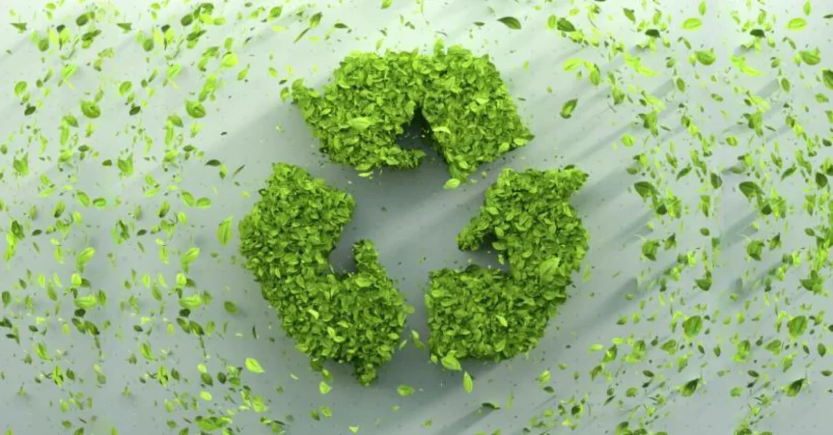 cómo separar la basura