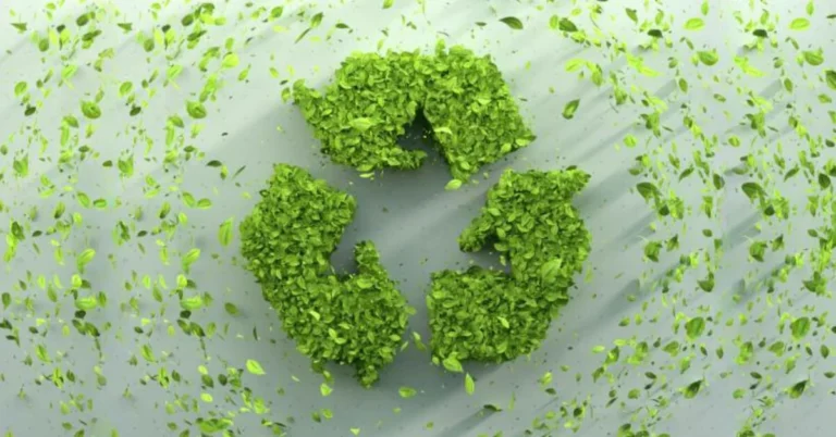 cómo separar la basura